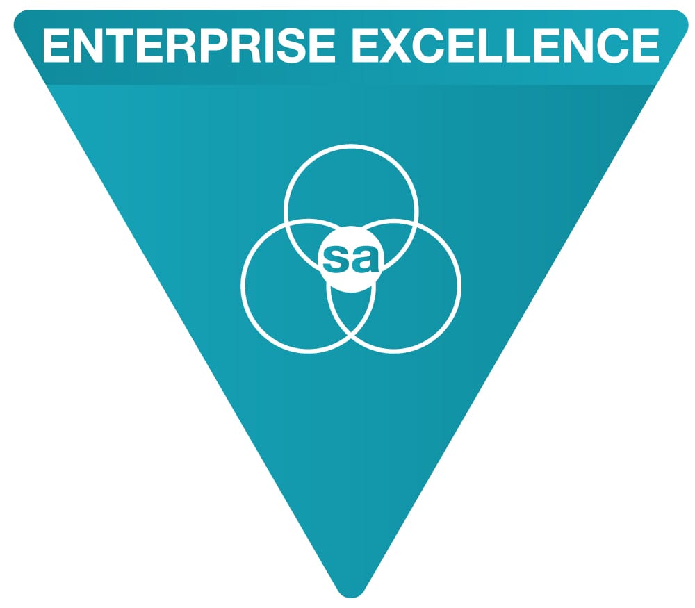 Enterprise Excellence